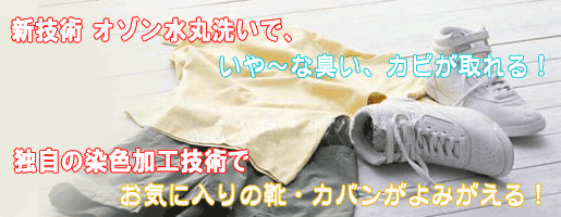 オゾン水丸洗いでカビが取れる!染色加工技術でお気に入りがよみがえる!